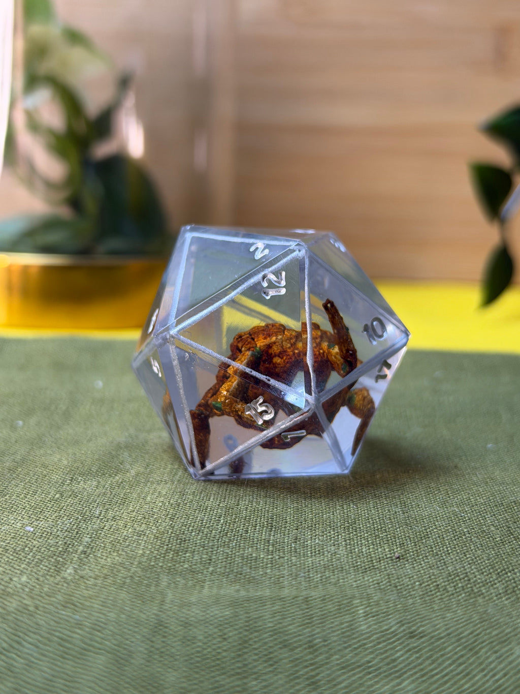 You’re in a ball!