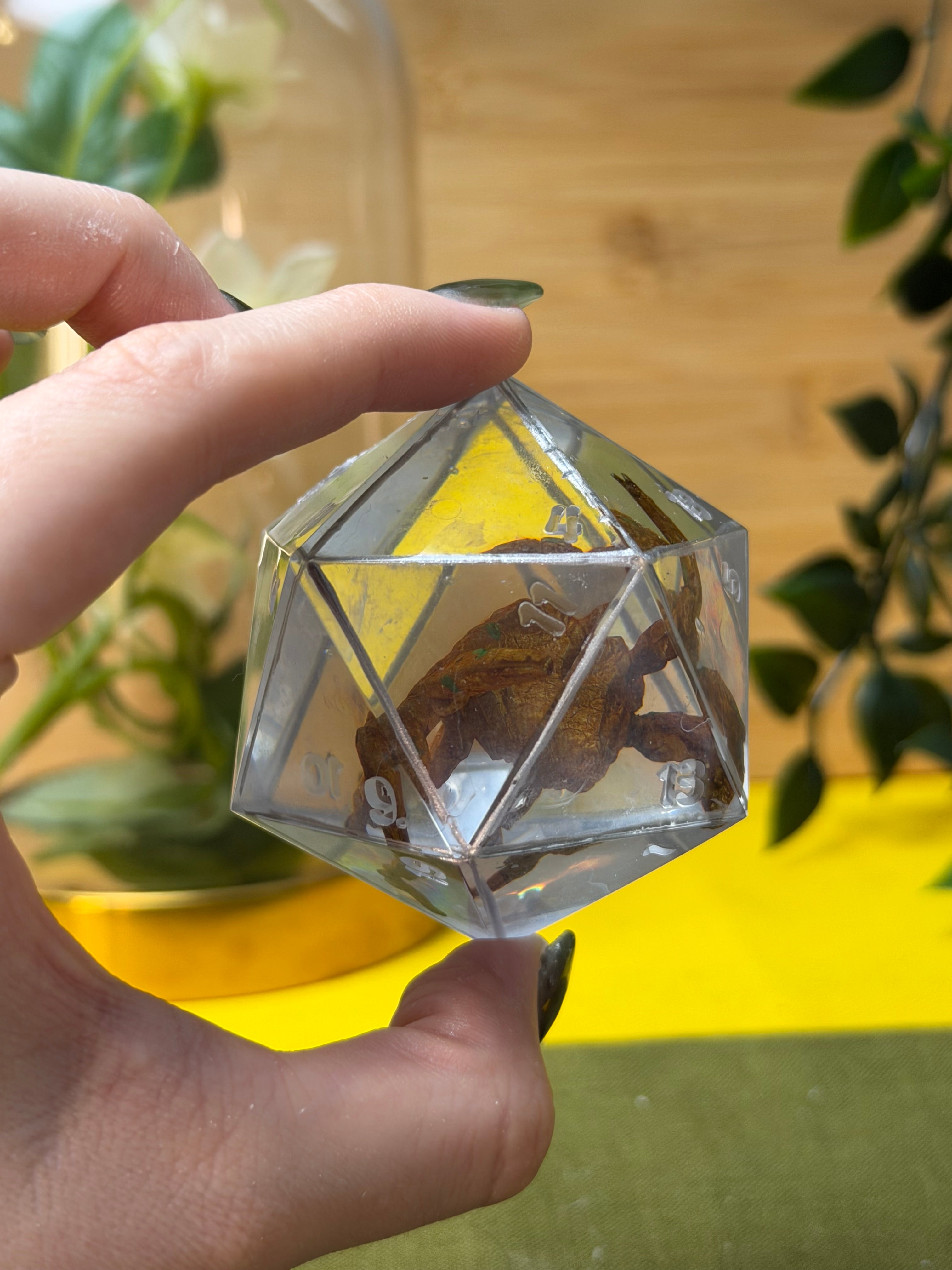 You’re in a ball!