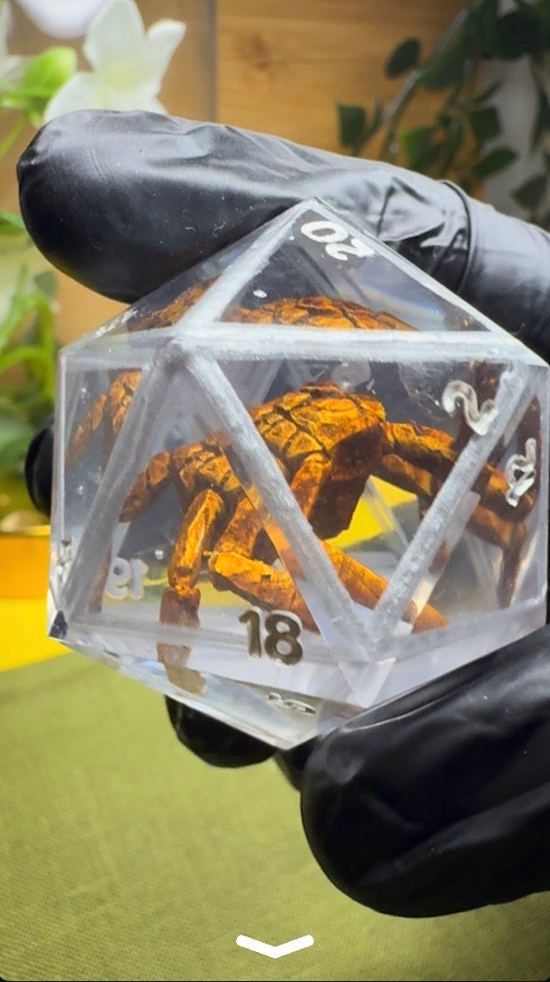 Alien Spider